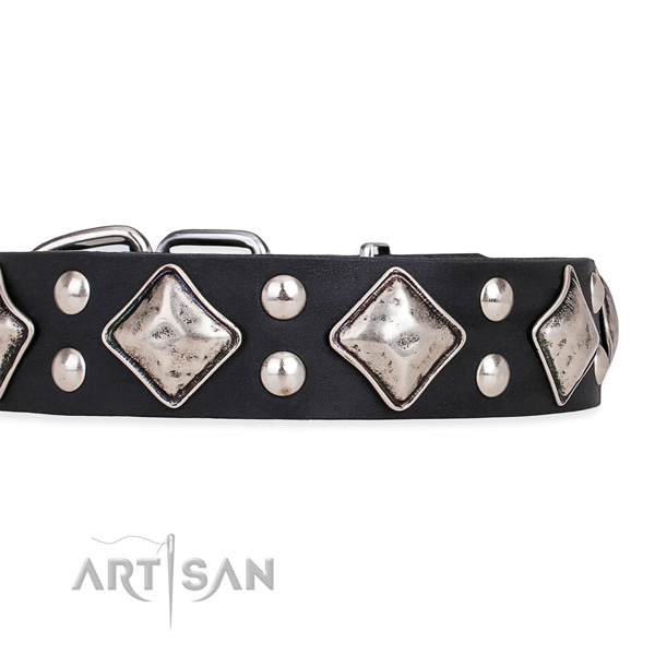 Leather dog collar with unusual reliable decorations