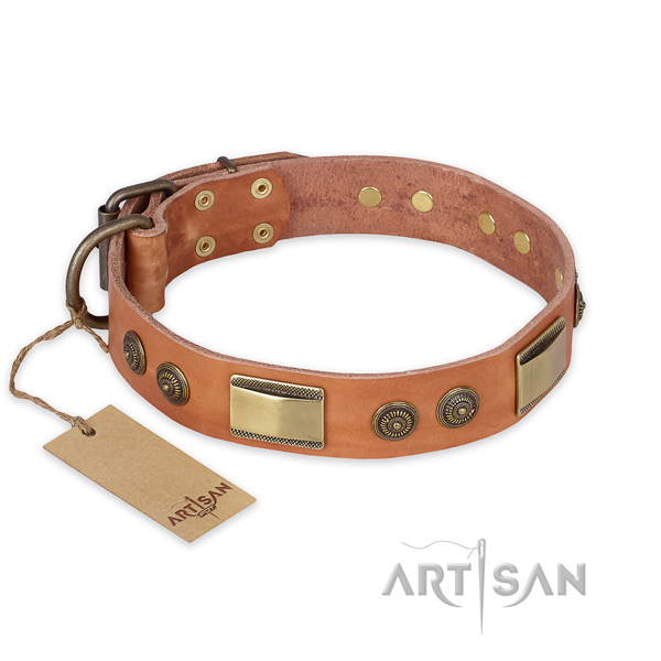 Amazing leather dog collar for comfortable wearing