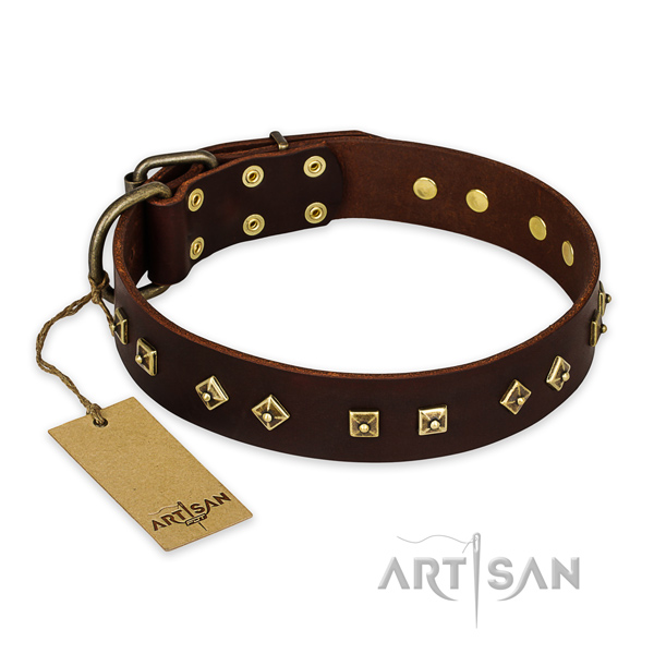 Decorated full grain leather dog collar with durable traditional buckle