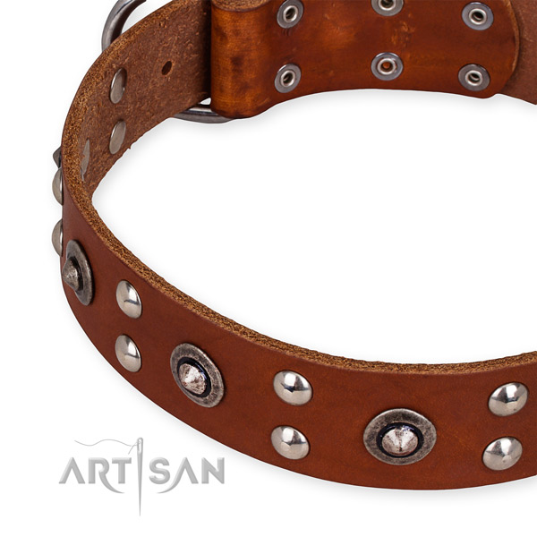 Genuine leather collar with corrosion proof buckle for your beautiful dog