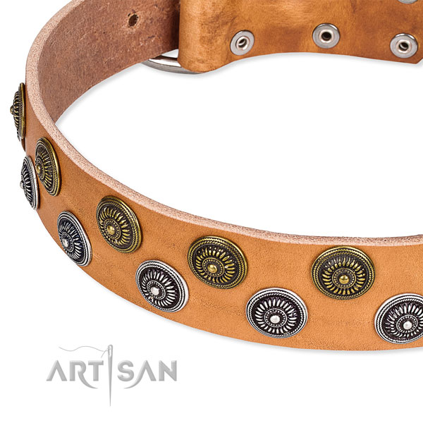 Comfortable wearing decorated dog collar of strong full grain leather