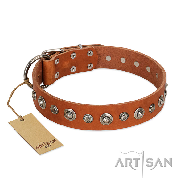 Strong natural leather dog collar with exceptional studs