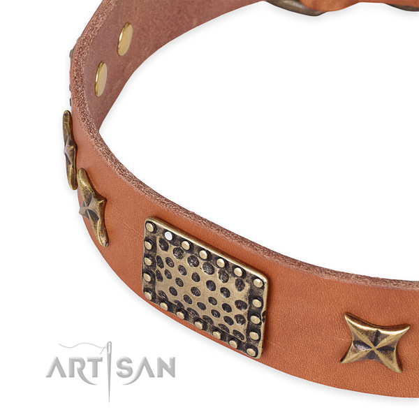 Genuine leather collar with strong hardware for your stylish pet