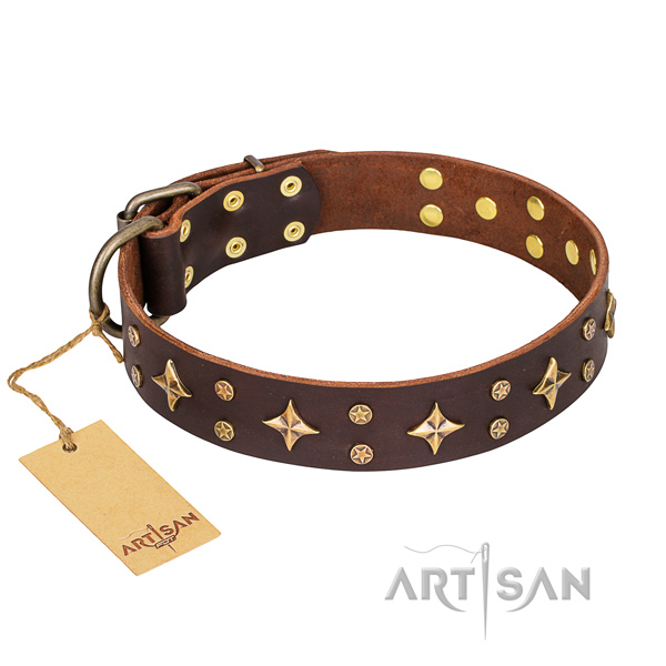 Daily use dog collar of quality full grain leather with embellishments