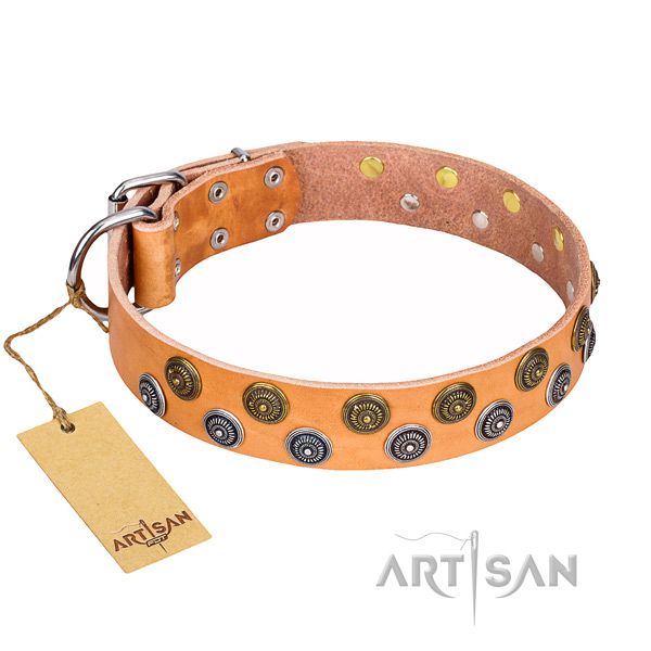 Everyday walking dog collar of durable leather with decorations