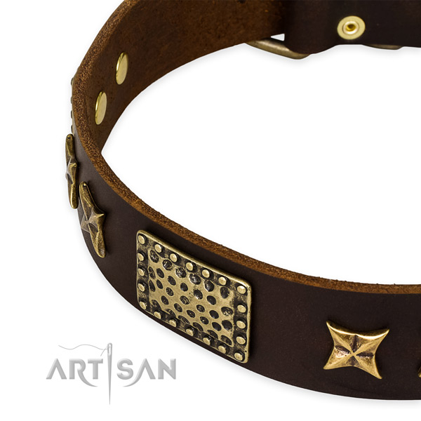 Leather collar with rust-proof fittings for your beautiful pet