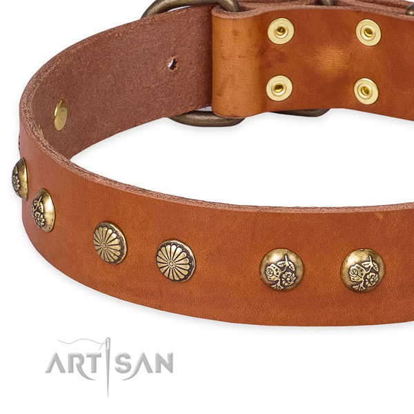 Full grain genuine leather collar with reliable D-ring for your attractive doggie