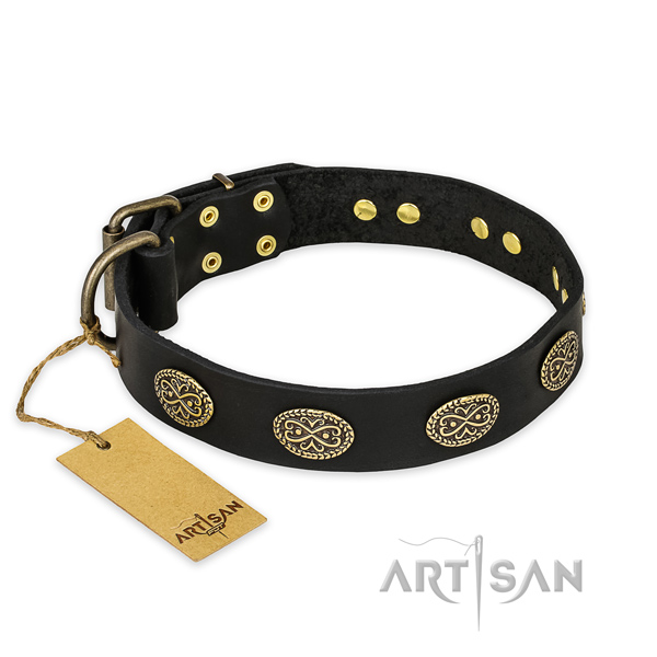 Significant full grain leather dog collar with durable buckle