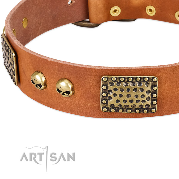 Rust resistant D-ring on leather dog collar for your pet