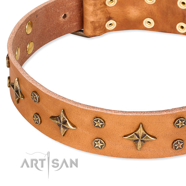 Walking adorned dog collar of high quality full grain genuine leather