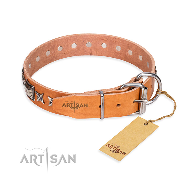 Reliable studded dog collar of full grain leather