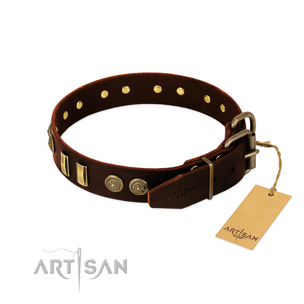 Rust-proof studs on leather dog collar for your four-legged friend