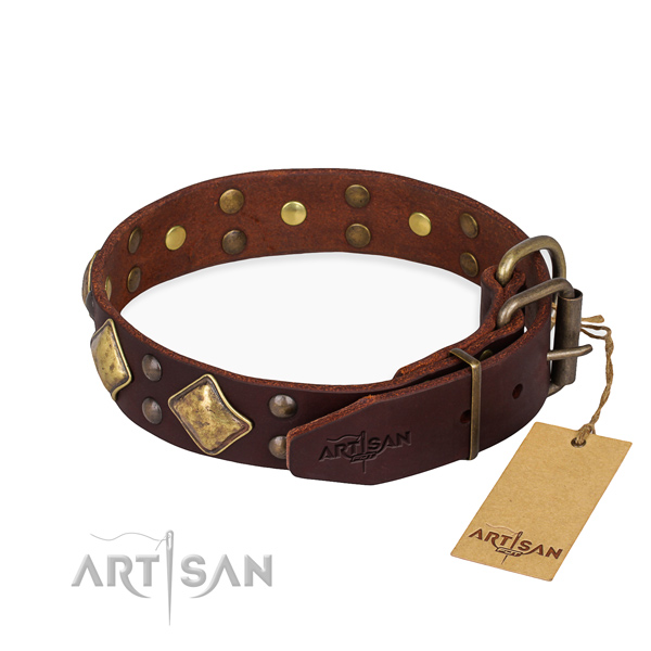 Natural leather dog collar with extraordinary strong embellishments