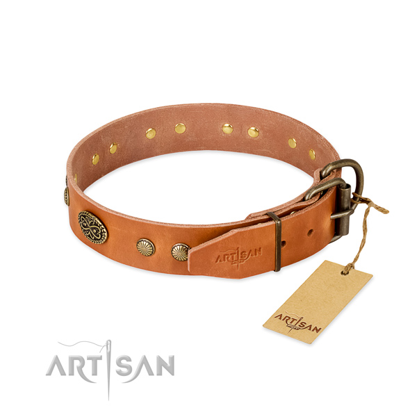 Rust-proof decorations on leather dog collar for your canine