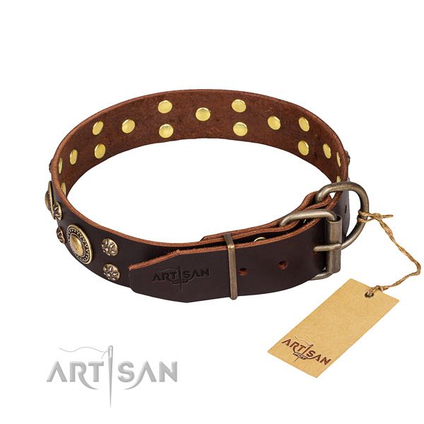 Walking embellished dog collar of finest quality full grain natural leather