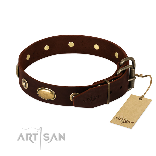 Rust-proof buckle on leather dog collar for your four-legged friend