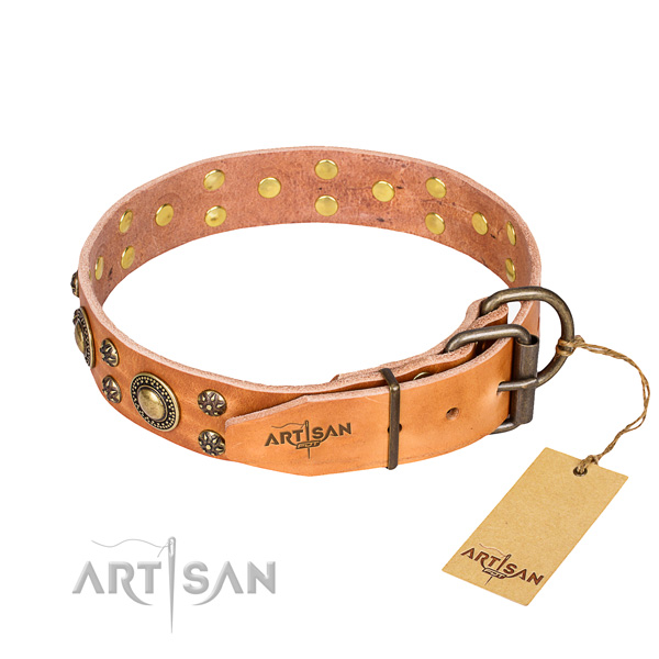 Stylish walking decorated dog collar of high quality leather