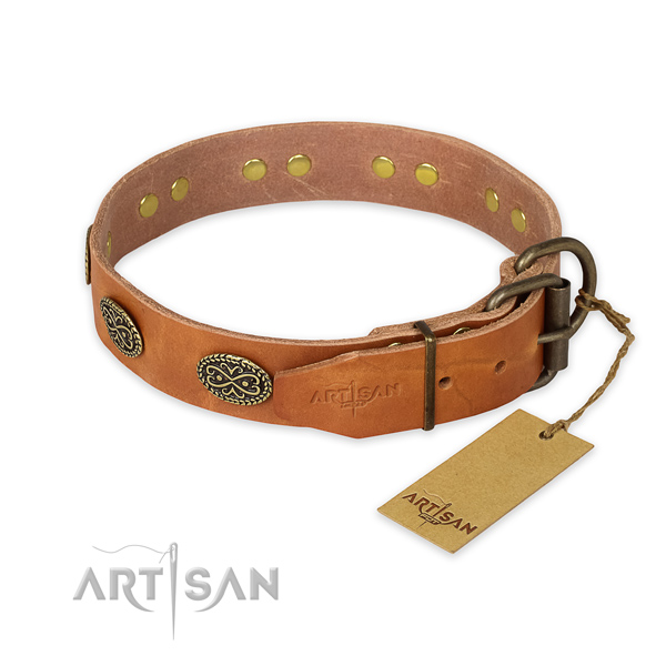 Corrosion proof D-ring on leather collar for your attractive doggie