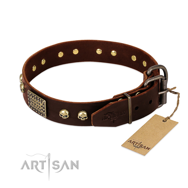 Reliable buckle on handy use dog collar