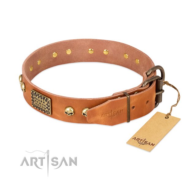 Durable embellishments on handy use dog collar