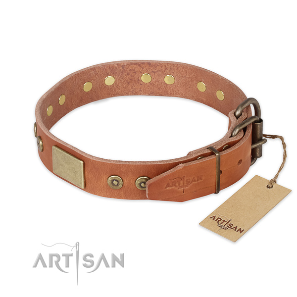 Rust-proof traditional buckle on full grain genuine leather collar for stylish walking your doggie