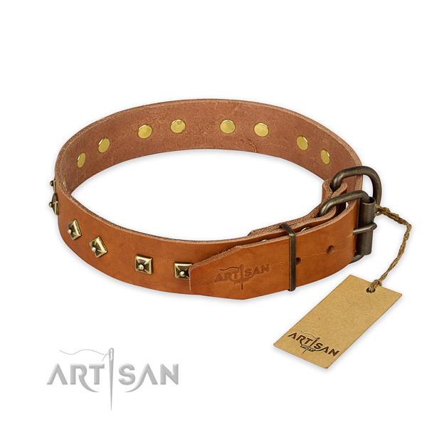 Strong buckle on full grain leather collar for everyday walking your four-legged friend