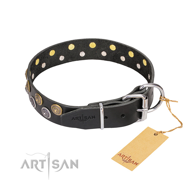 Daily walking embellished dog collar of top notch full grain leather