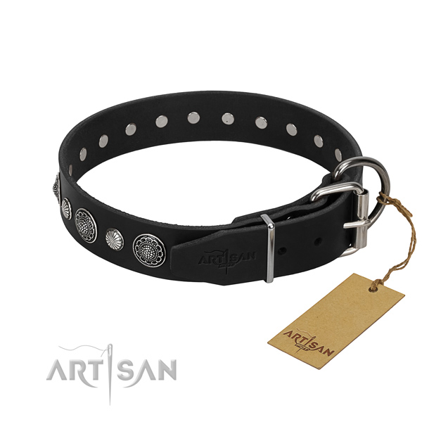 Top quality full grain leather dog collar with extraordinary adornments