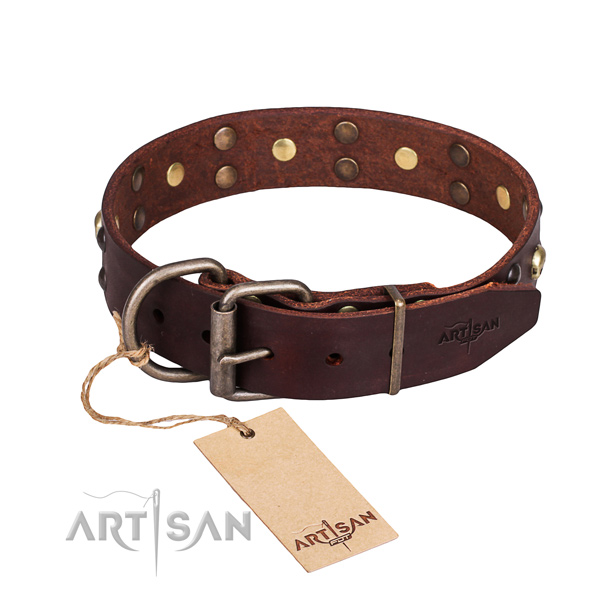 Daily walking studded dog collar of durable full grain leather