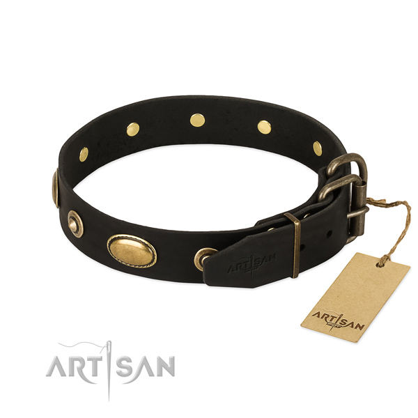 Rust resistant embellishments on genuine leather dog collar for your four-legged friend