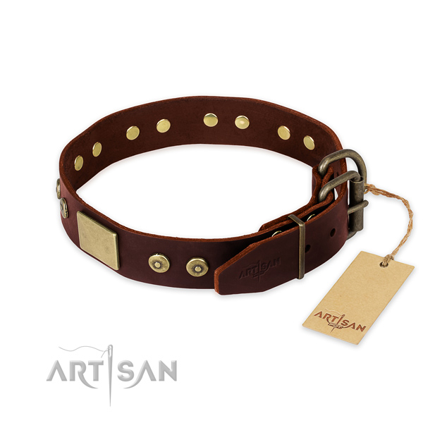 Strong studs on daily use dog collar