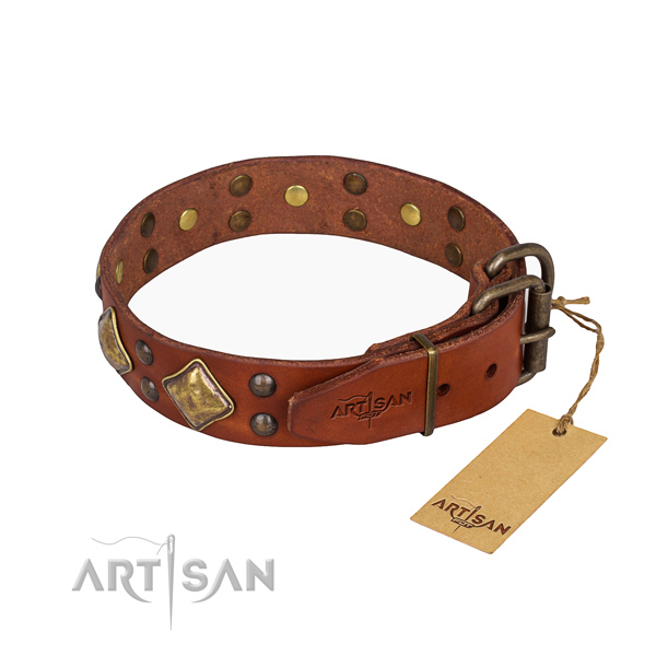 Genuine leather dog collar with stylish strong adornments