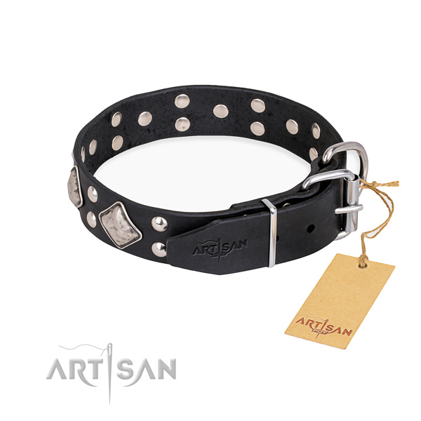 Full grain leather dog collar with trendy rust resistant studs