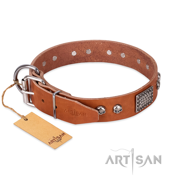 Strong embellishments on everyday walking dog collar