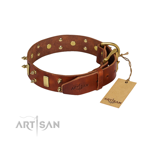 Comfortable wearing studded dog collar of reliable full grain genuine leather