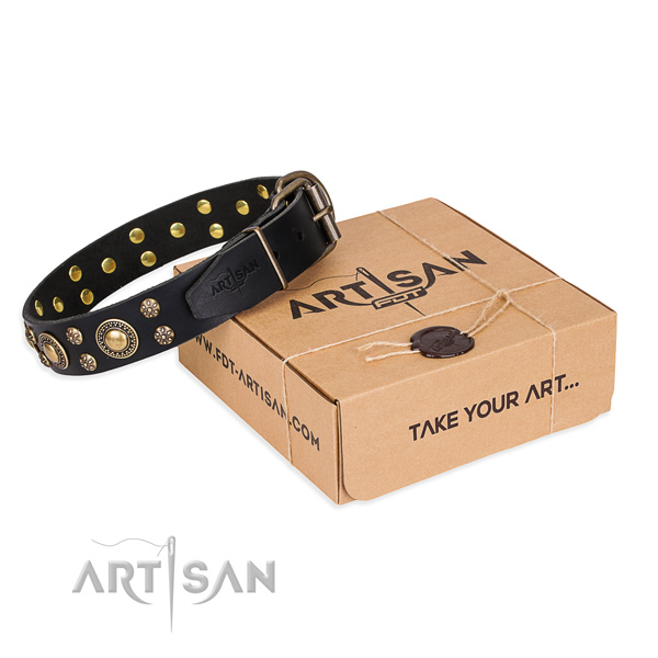 Basic training dog collar of high quality full grain natural leather with adornments