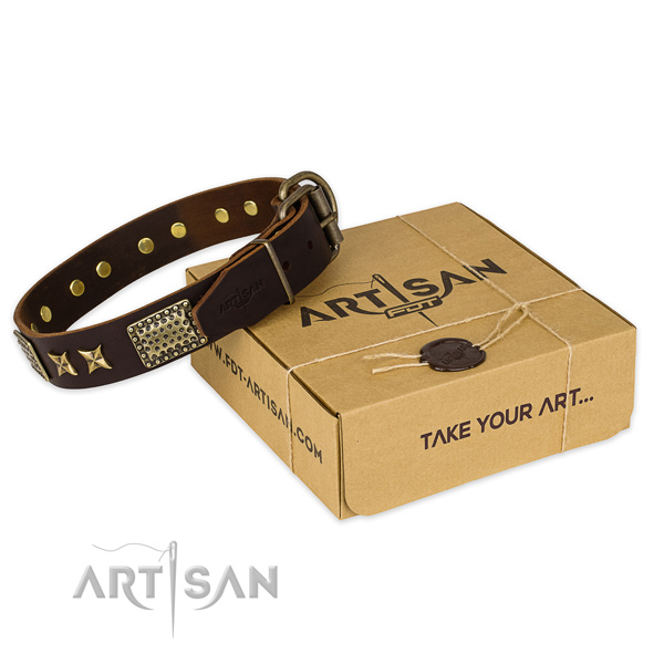 Reliable D-ring on natural genuine leather collar for your beautiful canine