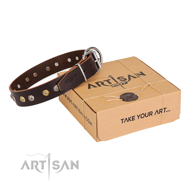 Best quality genuine leather dog collar made for stylish walking