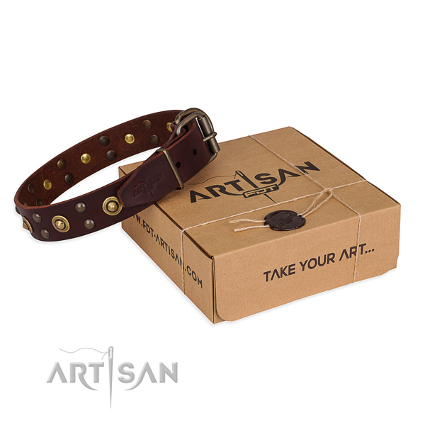 Durable buckle on full grain leather collar for your lovely canine