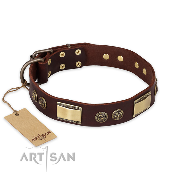 Stylish design leather dog collar for walking