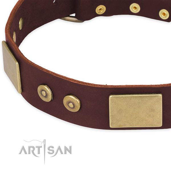 Full grain leather dog collar with decorations for easy wearing