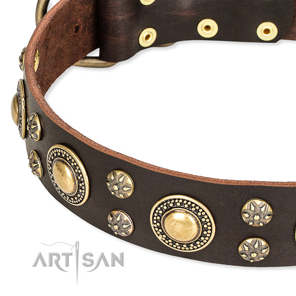 Stylish walking studded dog collar of finest quality full grain genuine leather