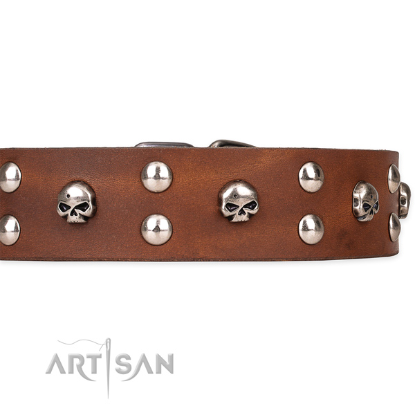 Easy wearing adorned dog collar of durable leather