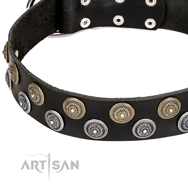 Stylish walking embellished dog collar of quality full grain leather