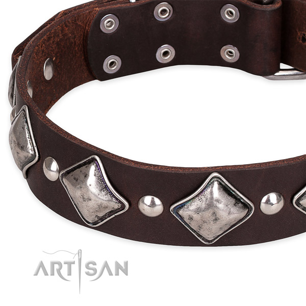 Daily use decorated dog collar of fine quality natural leather