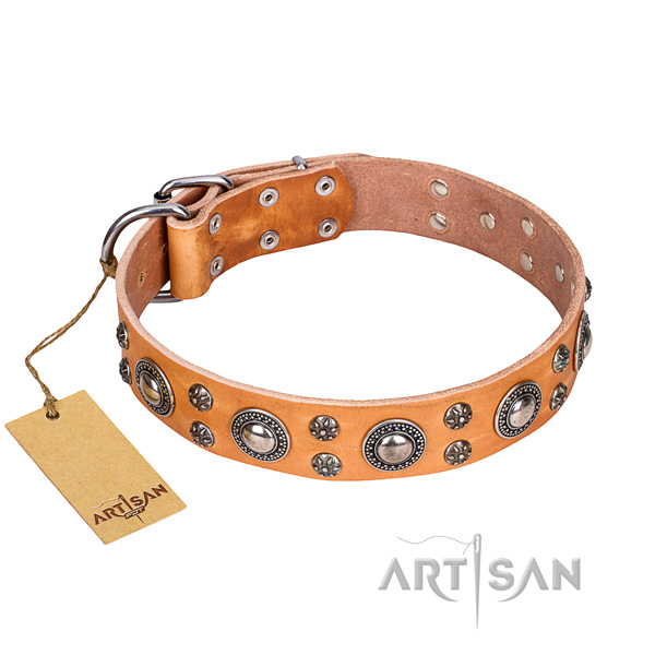 Basic training dog collar of durable natural leather with embellishments