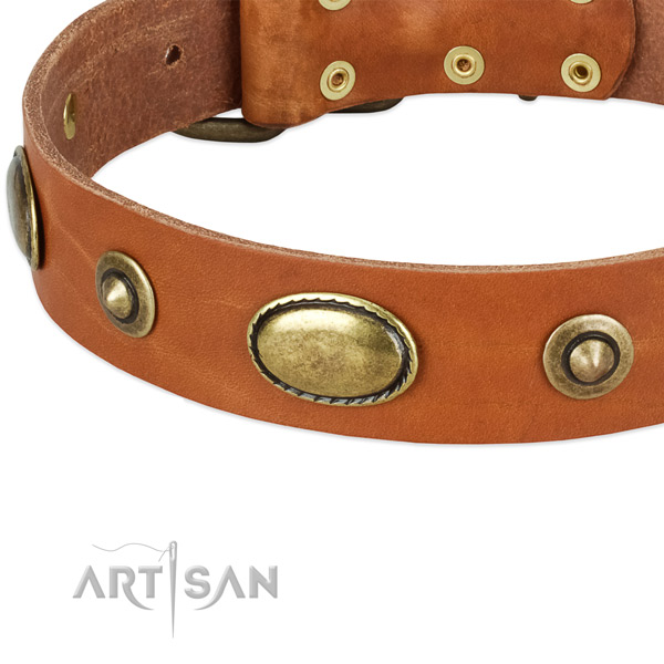 Corrosion resistant fittings on full grain natural leather dog collar for your doggie