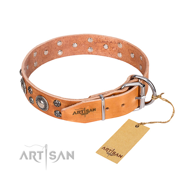 Basic training decorated dog collar of reliable full grain leather