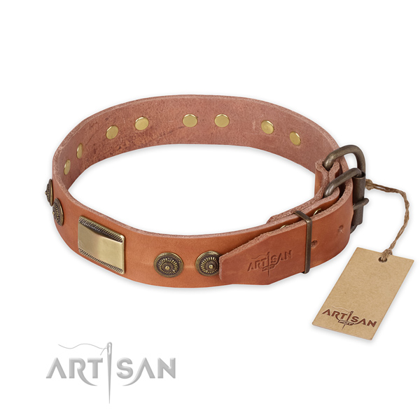 Corrosion resistant traditional buckle on full grain natural leather collar for stylish walking your dog