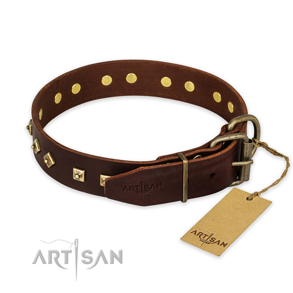 Corrosion proof hardware on full grain natural leather collar for basic training your four-legged friend